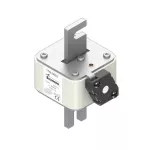 170L9653 FUSE 1000A 660V 3KW/110 AR