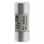 C22G10 Wkładka cylindryczna 22 x 58 mm 10A GG 690V AC