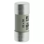 C22G10 Wkładka cylindryczna 22 x 58 mm 10A GG 690V AC