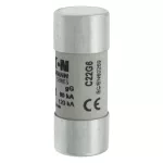 C22G6 Wkładka cylindryczna 22 x 58 mm 6A GG 690V AC