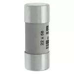 C22G6 Wkładka cylindryczna 22 x 58 mm 6A GG 690V AC