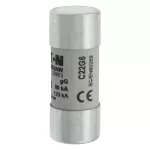 C22G6 Wkładka cylindryczna 22 x 58 mm 6A GG 690V AC