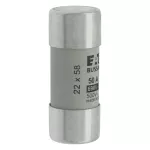 C22G50 Wkładka cylindryczna 22 x 58 mm 50A GG 690V AC