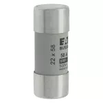 C22G50 Wkładka cylindryczna 22 x 58 mm 50A GG 690V AC