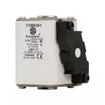 170M4391 Wkładka szybka, 315 A, AC 1250 V, size 1, 53 x 69 x 74 mm, aR, IEC, UL