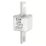 170M4159 Wkładka szybka, 250 A, AC 690 V, DIN 1, 53 x 66 x 138 mm, aR, DIN, IEC