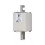 170L8388 FUSE 400A 1000V 2STN/110 AR