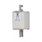 170L8388 FUSE 400A 1000V 2STN/110 AR