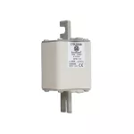 170L8388 FUSE 400A 1000V 2STN/110 AR