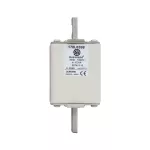 170L8388 FUSE 400A 1000V 2STN/110 AR