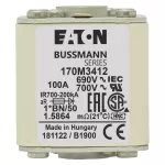 170M3412 Wkładka szybka, 100 A, AC 690 V, compact size 1, 45 x 59 x 51 mm, aR, IEC, UL, wskaźnik optyczny, flush end, M8