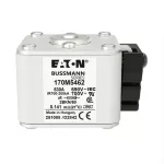 170M5462 Wkładka szybka, 630 A, AC 690 V, size 2, aR, IEC, UL