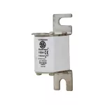 170M4830 Wkładka szybka, 100 A, AC 1000 V, size 00, 30 x 47 x 98 mm, aR, DIN, IEC, wskaźnik T