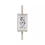 170M3810D Wkł. szybka 63A 690V aR DIN 1 podwójny wskaźnik