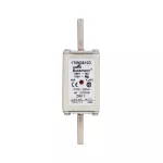 170M3810D Wkł. szybka 63A 690V aR DIN 1 podwójny wskaźnik