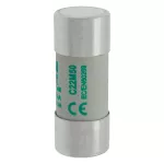C22M50 Wkładka cylindryczna 22 x 58 mm 50A AM 690V AC