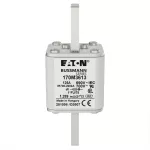 170M3613 Wkładka szybka, 125 A, AC 690 V, compact size 1, 45 x 45 x 110 mm, aR, IEC, UL