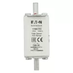 170M2701 Wkładka szybka, 125 A, AC 690 V, DIN 00, 30 x 60 x 79 mm, gR, DIN, IEC, pojedynczy wskaźnik