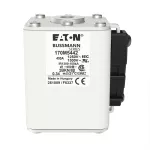 170M5442 Wkładka szybka, 400 A, AC 1250 V, size 2, 61 x 77 x 81 mm, aR, IEC, UL