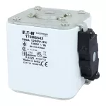 170M6542 Wkładka szybka, 500 A, AC 1250 V, size 3, 76 x 92 x 83 mm, aR, IEC, UL