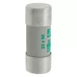 C22M32 Wkładka cylindryczna 22 x 58 mm 32A AM 690V AC