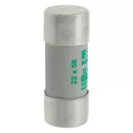C22M32 Wkładka cylindryczna 22 x 58 mm 32A AM 690V AC