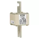 170M5216 Wkładka szybka, 1000 A, AC 690 V, DIN 2, 61 x 75 x 138 mm, aR, DIN, IEC, pojedynczy wskaźnik