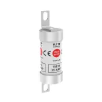 TIS35 35A 690V AC / 460V DC gG INDUSTRIAL FUSE