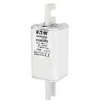 170M3983 FUSE 80A 1000V 1*TN/110 AR