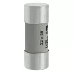 C22G8 Wkładka cylindryczna 22 x 58 mm 8A GG 690V AC