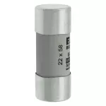C22G8 Wkładka cylindryczna 22 x 58 mm 8A GG 690V AC
