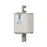 170L8930 FUSE 450A 1000V 2STN/110 AR