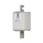 170L8930 FUSE 450A 1000V 2STN/110 AR