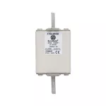 170L8930 FUSE 450A 1000V 2STN/110 AR