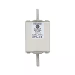 170L8930 FUSE 450A 1000V 2STN/110 AR