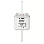 170M4161 Wkładka szybka, 350 A, AC 690 V, DIN 1, 53 x 66 x 138 mm, aR, DIN, IEC