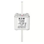 170M4161 Wkładka szybka, 350 A, AC 690 V, DIN 1, 53 x 66 x 138 mm, aR, DIN, IEC