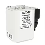 170M4929 FUSE 550A 1000V 1GKN/75 AR
