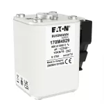 170M4929 FUSE 550A 1000V 1GKN/75 AR