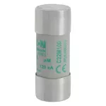 C22M100 Wkładka cylindryczna 22 x 58 mm 100A AM 500V AC
