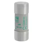 C22M100 Wkładka cylindryczna 22 x 58 mm 100A AM 500V AC