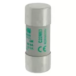C22M63 Wkładka cylindryczna 22 x 58 mm 63A AM 690V AC