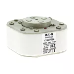 170M7066 FUSE 4000A 600V 4BN/65 AR