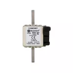 170M3667 Wkładka szybka, 315 A, AC 690 V, compact size 1, 45 x 59 x 110 mm, aR, IEC, UL