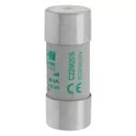 C22M20S Wkładka cylindryczna z wybijakiem, 22 x 58 20A GG 690V AC