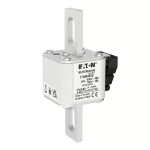 170M4659 Wkładka szybka, 250 A, AC 690 V, size 1, 53 x 69 x 136 mm, aR, IEC, UL