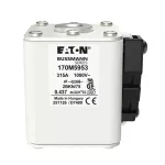 170M5953 Wkładka szybka, 315 A, AC 1000 V, size 2, 59 x 77 x 75 mm, aR, IEC, UL
