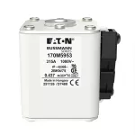 170M5953 Wkładka szybka, 315 A, AC 1000 V, size 2, 59 x 77 x 75 mm, aR, IEC, UL