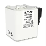 170M5953 Wkładka szybka, 315 A, AC 1000 V, size 2, 59 x 77 x 75 mm, aR, IEC, UL