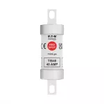 TIS40 40A 690V AC / 460V DC gG INDUSTRIAL FUSE